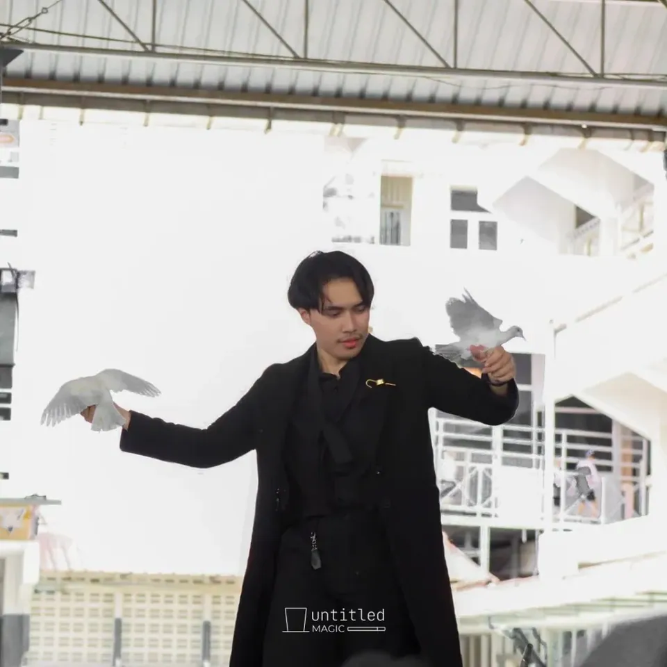นักมายากลในชุดสูทดำปล่อยนกพิราบสองตัว